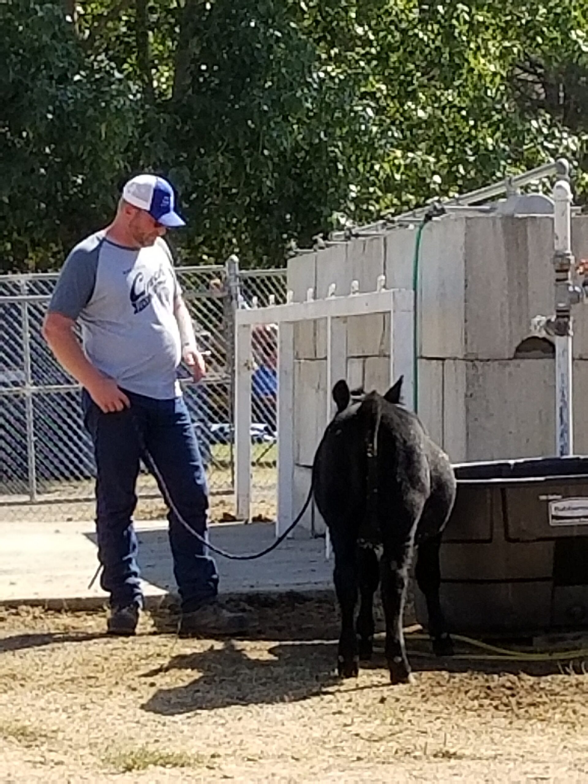 2024 Premium Book/Exhibitors Information Lincoln County Fair and