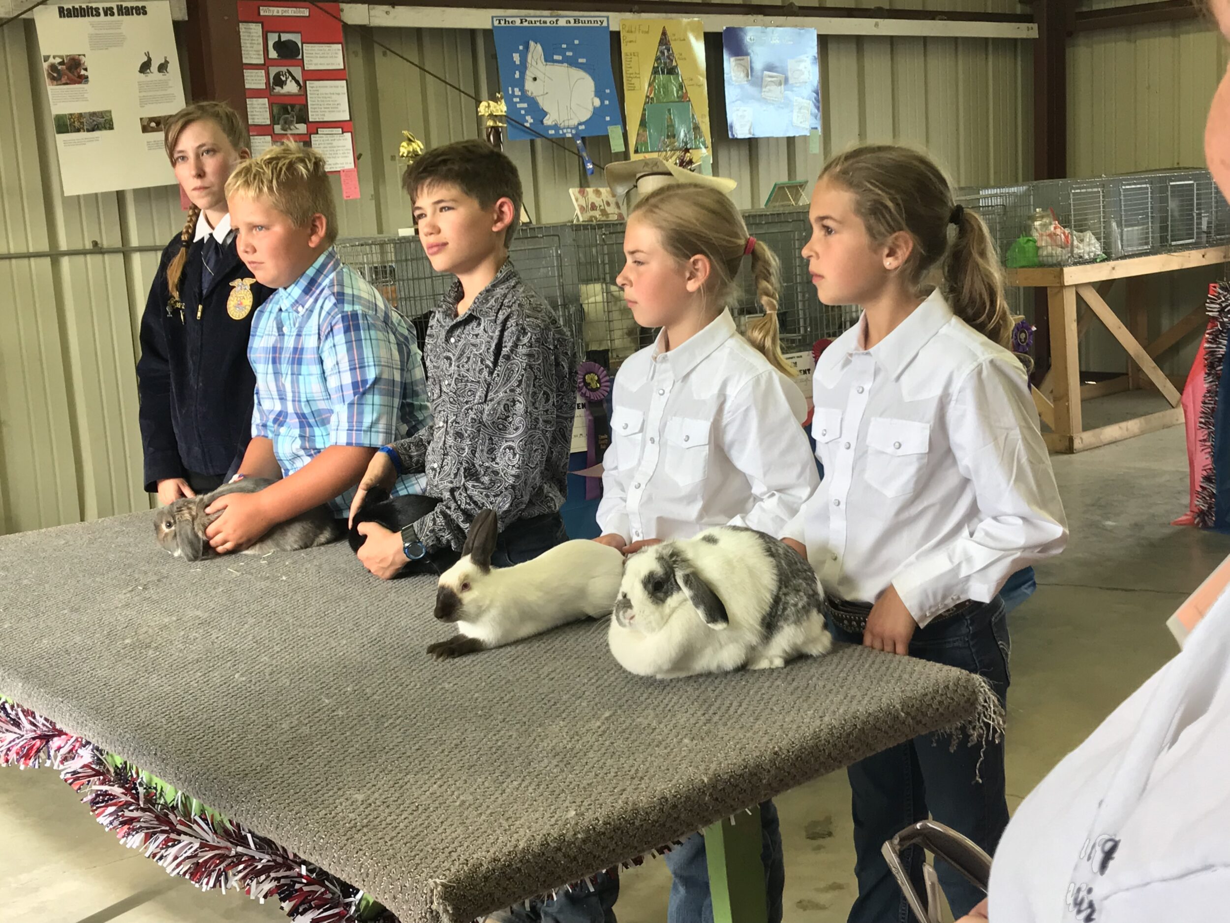 Four youth with their rabbits showing their rabbits to the judge.
